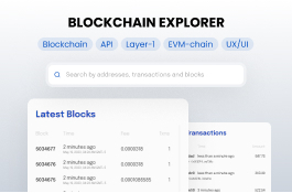 Blockchain Scanner (Explorer) development